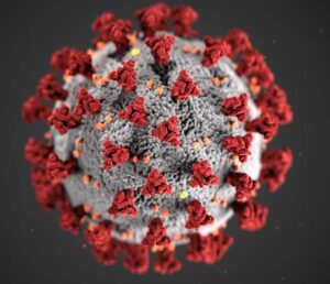 coronavirus